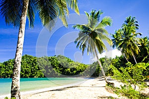 Englishman's Bay, Tobago