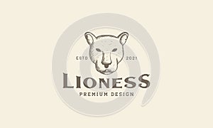 Engrave animal head lioness logo symbol vector icon illustration design