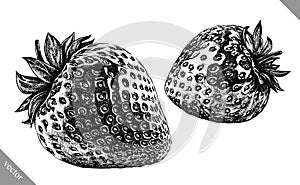Engrave isolated strawberry hand drawn graphic vector illustration