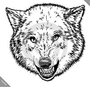 Engrave isolated wolf vector illustration sketch