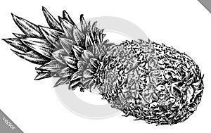 Engrave pineapple hand drawn graphic illustration