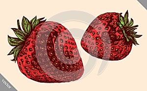 Engrave strawberry hand drawn graphic vector illustration