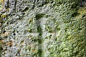 Engraved cross on the old stone surface