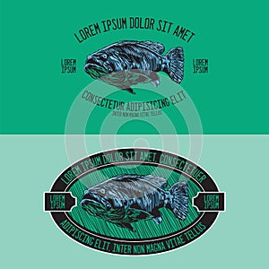 Engraved fish vintage logo template