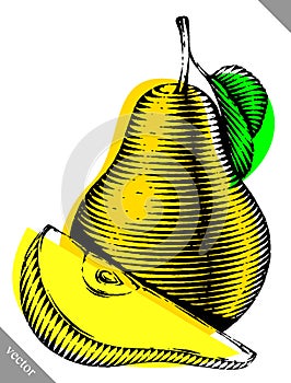 Engraved isolated engrave vector illustration of a pear