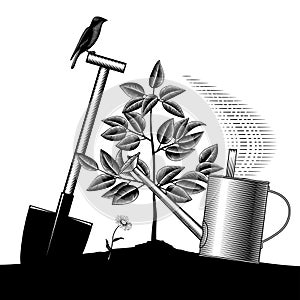 Engraved vintage drawing of plant with bird and leaves in the ground, shovel, garden watering can and flower