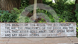 An engraved wood park bench with a quote from Chief Dan George in front of a shade garden with trees and plants