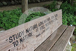 An engraved wood park bench with a quote from Frank Lloyd Wright in front of a shade garden with trees and plants