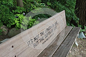An engraved wood park bench with a quote from Ralph Waldo Emerson in front of a shade garden with trees and plants
