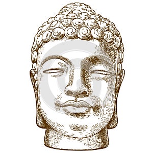 Engraving drawing illustration of stone buddha head