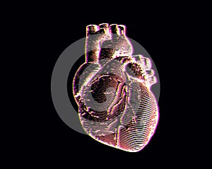 Engraving human heart illustration isolated on black BG