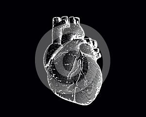 Engraving human heart illustration isolated on black BG