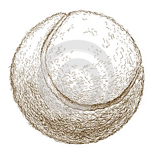 Engraving illustration of tennis ball