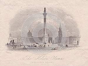 Engraving of The Nelson Column, Trafalgar Square, London 1800s
