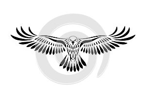 Engraving of stylized hawk on white background