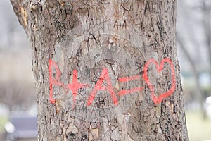 Engravings on a treeâ€™s bark
