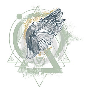 Enigma Dove illustration