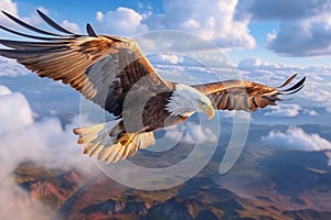 Enigmatic beauty, Fish Eagle's flight transcends the earthly realm, soaring above clouds