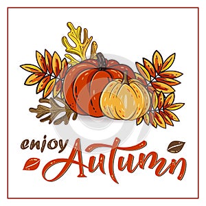 Enjoy Autumn hand drawn lettering text with autumn leaves and pumpkins