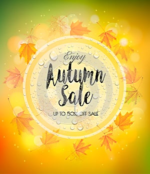 Enjoy Autumn Sale background with autumn leaves