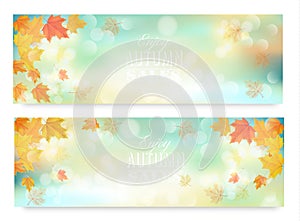 Enjoy autumn sales banners with colorful leaves.