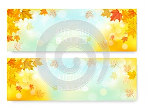 Enjoy Autumn Sales Banners with Colorful Leaves.
