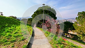 Enjoy the flowering Parco Panoramico Paradiso, Switzerland