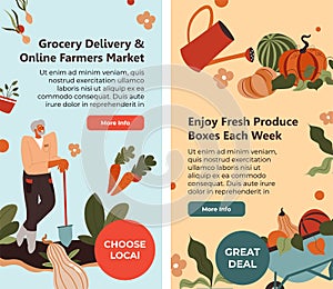 Enjoy fresh produce boxes each week grocery store