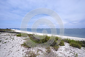 Enjoy a leisurely walk on Silverstrand Beach on Coronado Bay, San Diego, California