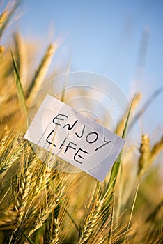 Enjoy life photo
