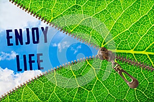 Enjoy life word under zipper leaf