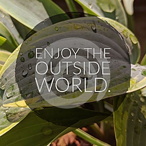 Enjoy The Outside World