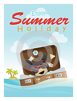 Enjoy tropical summer holiday with little dog