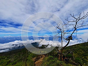 Enjoy the view at the top of Mount Ciremai