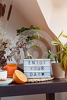 Enjoy your day message on lightbox standing on a table with cup of tea and green home plants. Cozy area for relaxing and