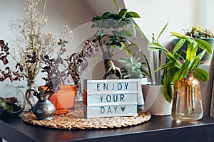 Enjoy your day message on lightbox standing on a table with green home plants. Home gardening corner inside of the house