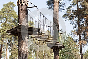 enjoying activity in a climbing adventure park photo