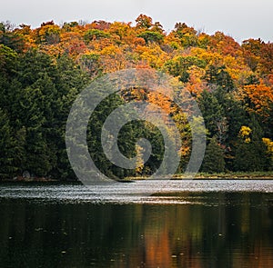 Enjoying the autumn colors in Gatineau park, Quebec, Canada