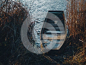 Enjoying by the beautiful river