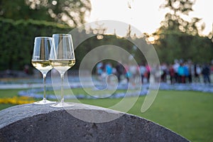 Enjoying a glass of white wine in the own garden. Evening sun, summertime