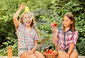 Enjoying themselves. harvest vitamin. spring market garden. small girls vegetable basket. Only natural juice. children