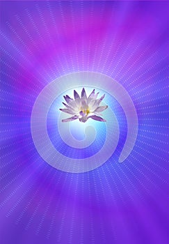 Enlightenment Lotus