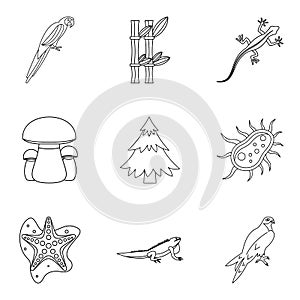 Enliven icons set, outline style photo