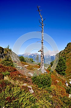 Ennstal Region, Austria