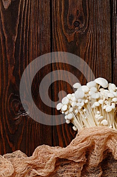 Enoki, Enokitake, Flammulina velutipes, edible mushroom popular in Japanese cuisine