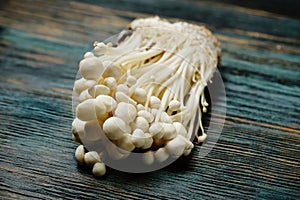 Enoki, Enokitake, Flammulina velutipes, edible mushroom popular in Japanese cuisine