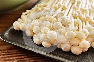 Enoki mushroom