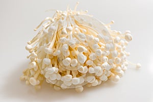 Enoki mushroom