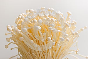 Enoki mushroom
