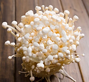 Enoki mushroom